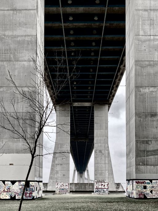 Ponte Vasco da Gama